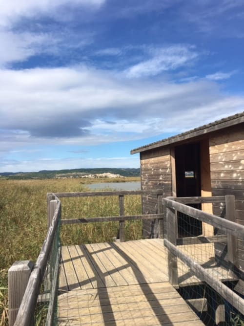 Observatoire des oiseaux. Parc Régional de la Narbonnaise.