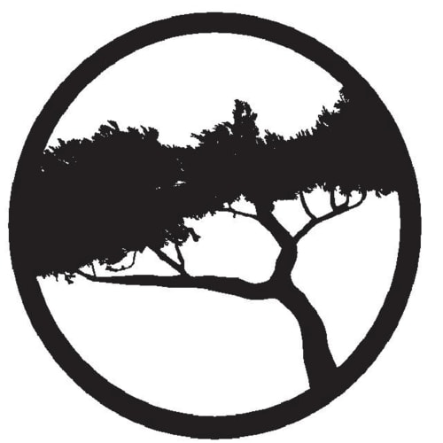 Silhouette d'un arbre côtier fouetté par le vent, emblème des Gîtes De L'odet à Clohars-Fouesnant, Bretagne