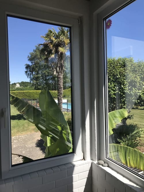 Vue du jardin depuis la fenêtre du gîte aux Gîtes De L'odet, Clohars-Fouesnant, avec palmier et paysagisme luxuriant