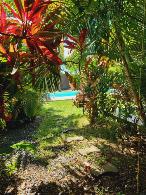 Tropical garden pathway with red flowers leading to pool at Gites Kaladja, Port-Louis Guadeloupe