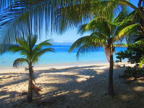 Vue tropicale avec palmiers et océan turquoise au Caribgites BnB, Sainte-Anne, Guadeloupe