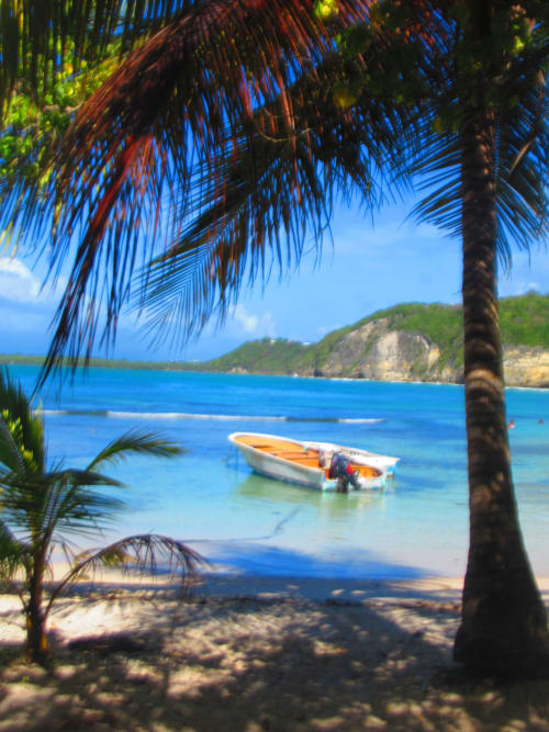 Vue de plage tropicale à Caribgites à Sainte-Anne avec bateau de pêche, cocotiers et eaux turquoise