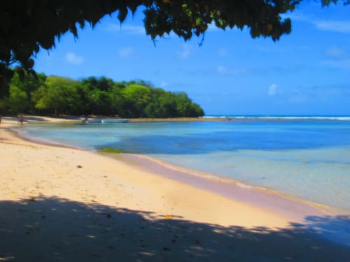 Magnifique plage de sable blanc aux eaux turquoise et végétation luxuriante à Caribgites, Sainte-Anne, Guadeloupe