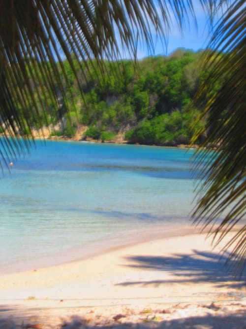 Petite baie tropicale aux eaux turquoise, sable blanc et palmes à Caribgites, Sainte-Anne, Guadeloupe