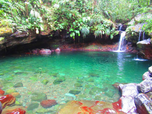 Piscine turquoise cristalline avec cascade dans la jungle luxuriante du Caribgites B&B, Sainte-Anne, Guadeloupe