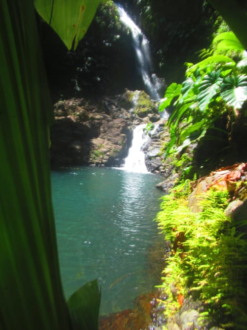 Cascade tropicale et bassin émeraude entourés de végétation luxuriante au Caribgites B&B à Sainte-Anne, Guadeloupe