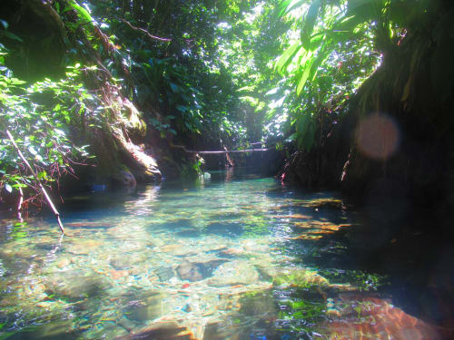 Lagon cristallin entouré de verdure luxuriante à Caribgites, un gîte de charme en Guadeloupe à Sainte-Anne