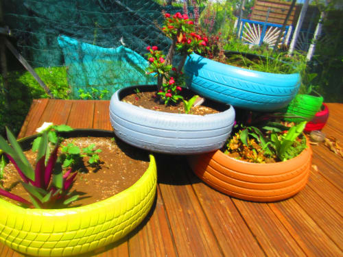 Jardinières colorées en pneus recyclés garnies de fleurs sur la terrasse en bois de la maison d'hôtes Caribgites à Sainte-Anne, Guadeloupe