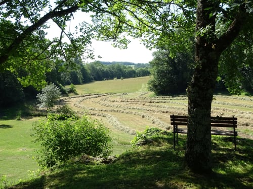 Quiet gîte in the Dordogne - La Barrat
