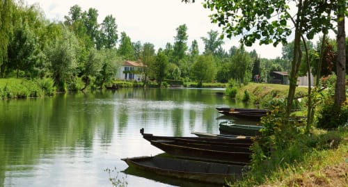 Barques traditionnelles au bord de l'eau dans le Marais Poitevin, à proximité de la maison d'hôtes La Chabanaise, paysage de la Venise Verte sous un ciel lumineux.