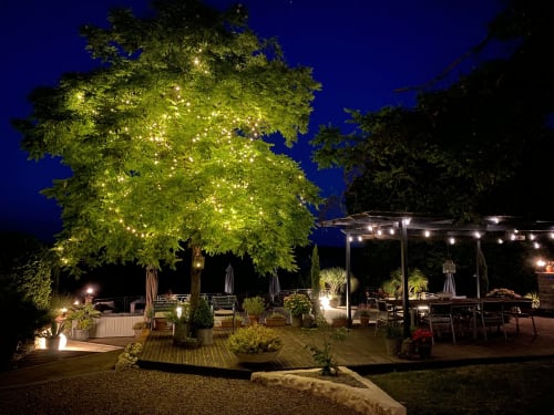 Maison Mûrier Guest House - South West France, Occitanie - garden 