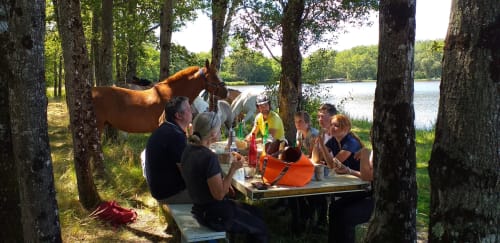 Repas en groupe au bord du lac à La Maison De Fleurat à Domeyrot avec un cheval brun à proximité parmi les arbres