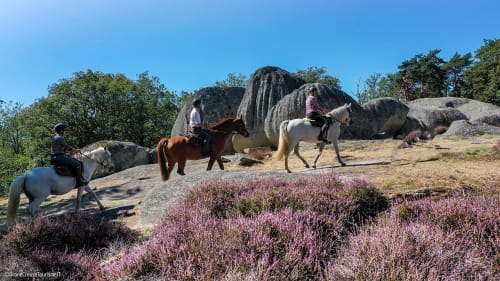 Trois cavaliers à cheval parmi la bruyère violette et les rochers de granit à La Maison De Fleurat, Domeyrot