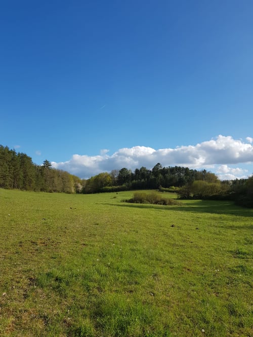 Prairies verdoyantes et boisés des Granges Indigo B&B à Fossemagne, France sous un ciel bleu dégagé