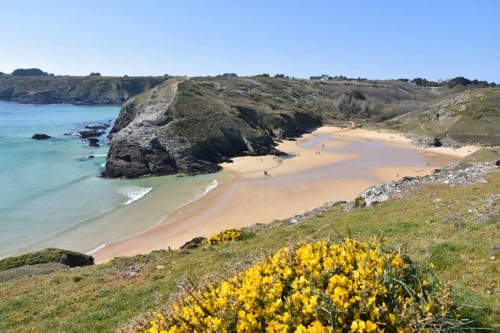 Plage d'Herlin sour la soleil à marée basse - séjour détente et randonnée à belle île en mer - les maisons de Kerdavid'île