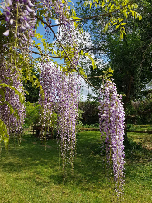 Spend a relaxing time in the Périgord