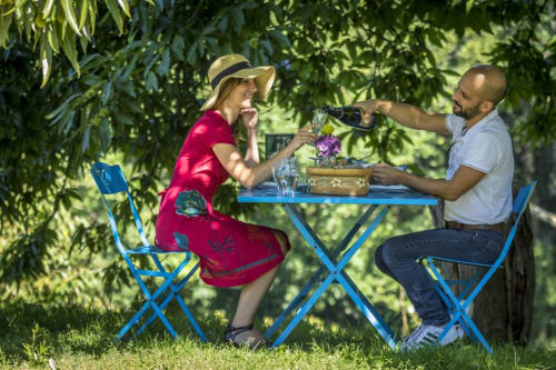 Un repas du soir, apéritif, entrée, plat, dessert, boisson comprise, café, tisane à notre table d’hôte sous le châtaignier, "La Landre"  se situe à 7km de Fontenoy-le-Chateau