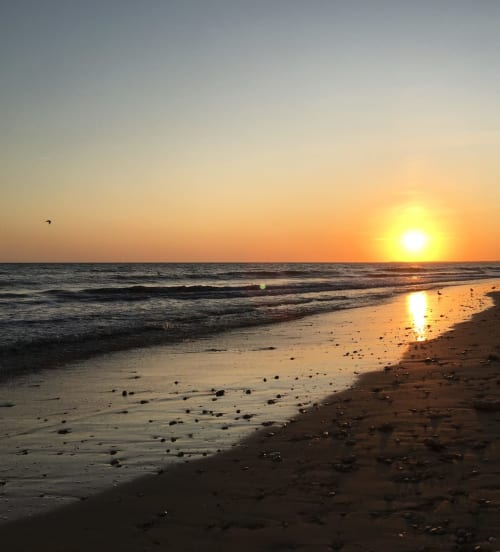 Playa de la Isla de Ré - Clos de la Poudrière - Isla de Ré