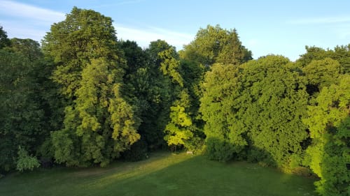 Lush green forest and meadow at Château de Ré B&B in Le Petit Pressigny, France