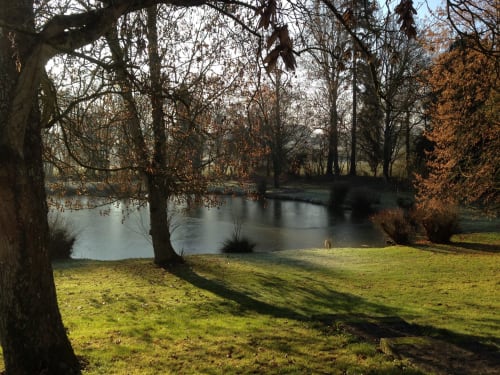 Peaceful riverside park at Château de Ré with bare trees, green grass, and calm water reflecting autumn landscape in Le Petit