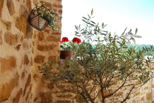 discover the Rhône region - getaway near Lyon - bed and breakfast near Lyon - Les Terrasses Dorées in Beaujolais