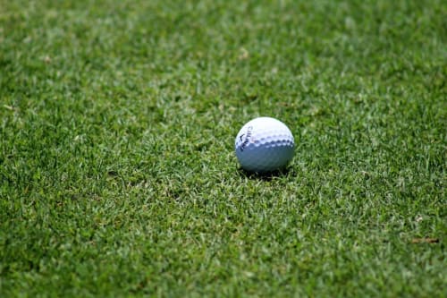 Balle de golf blanche sur l'herbe verte aux Chambres d'hôtes Saint Jean, Nogent le Rotrou