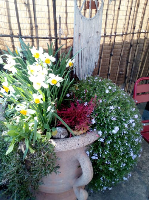 Pot de fleurs avec jonquille, hôtel, Auberge de Barnas.
