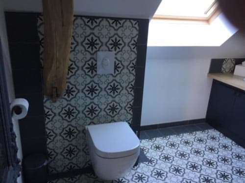 Salle de bains moderne aux Portes De Bourgogne avec carrelage motifs, toilettes blanches et puits de lumière à Serbonnes