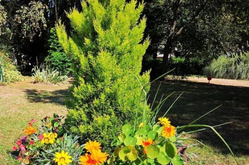 Jardin villa la case de mon père, Effet mer parenthèse, Pénestin. 