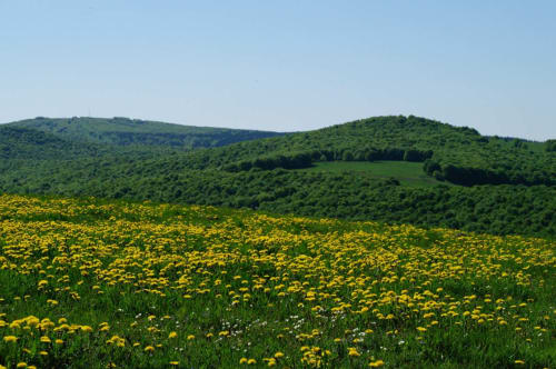 Get some fresh air and recharge your batteries near Laguiole in Aveyron
