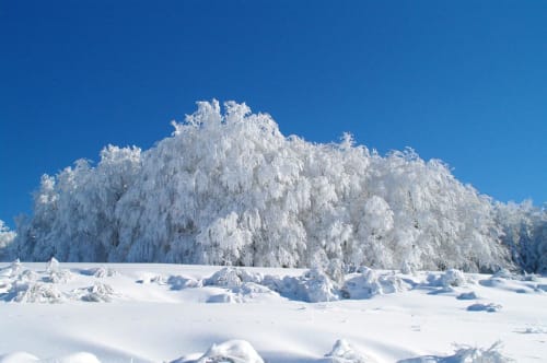 Leave in all seasons in the foothills of the Aveyron
