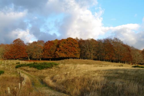 Explore the varied landscapes of Southwestern France