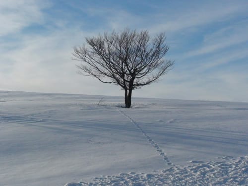 Breathe in the wide open spaces of Aveyron
