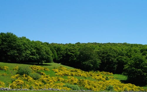 Going to the countryside in the South West of France
