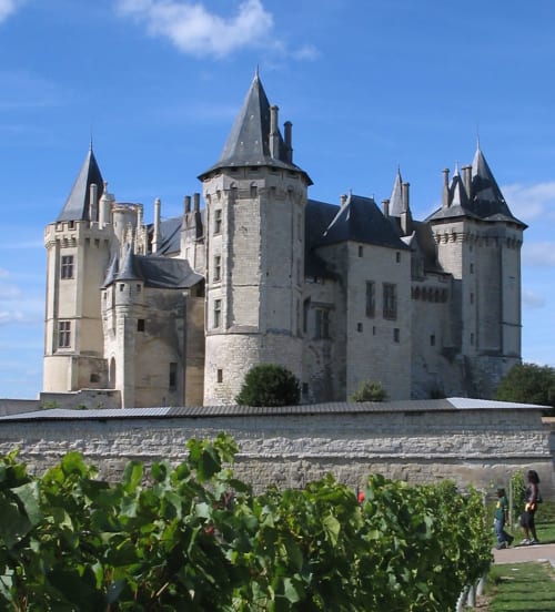 CHINON, Chateau proche des logements les arches de Muschamp, 