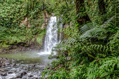 Cascade luxuriante se versant dans un bassin émeraude entouré de végétation tropicale aux Villas aux Antilles, Saint-François