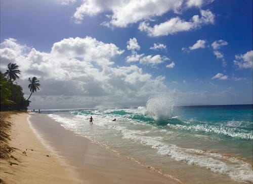 Plage tropicale aux eaux turquoise et nuages blancs, palmiers sur la gauche, surfeurs dans l'eau aux Villas aux Antilles