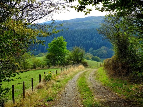 Les chemins du Morvan sont tous près de la chambre d'hôtes la Creusotine. La maison d'hôtes Le Puits Darcy est idéalement placée entre ville et campagne. www.mhlepuitsdarcy.com