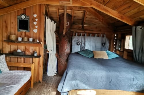 Cabane dans les arbres en PACA | Mas des Pins
