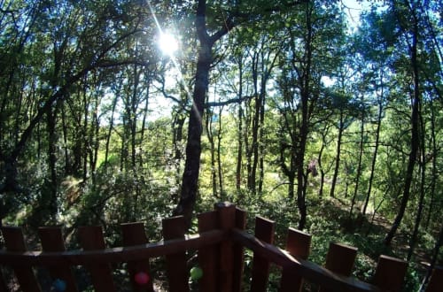 Cabane dans les arbres 1/6 personnes | Alpes Haute Provence - Mas des Pins
