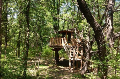 Cabane dans les arbres 1/6 personnes | Alpes Haute Provence - Mas des Pins