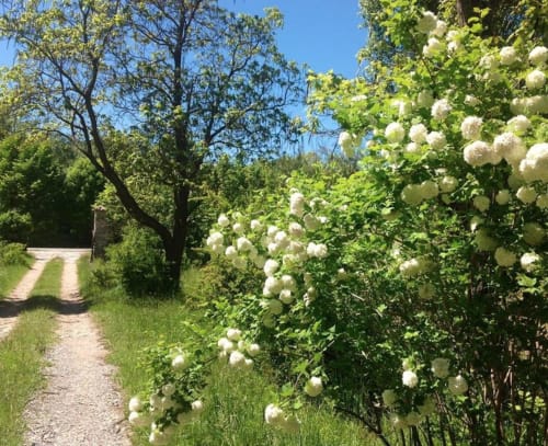 Entrée du Mas des Pins | Beynes - PACA