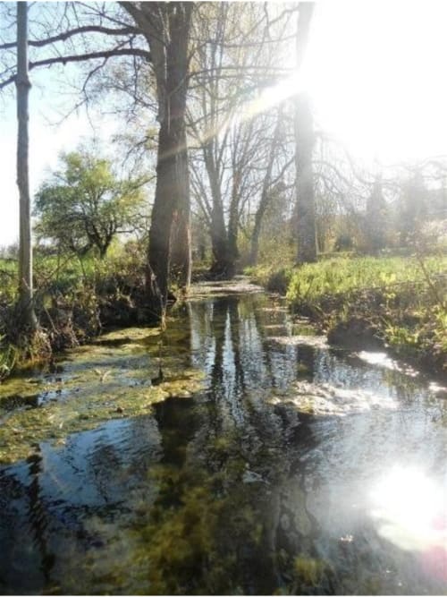 Rivière - Mas des Pins 