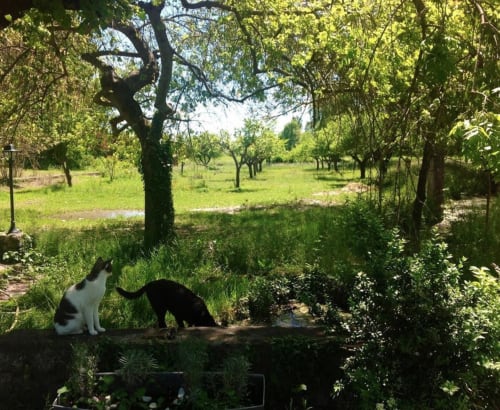 Parc du Mas des Pins | Beynes 04