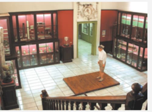 Musée Gassendi - Digne les Bains | Mas des Pins
