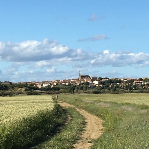 Ouveillan petit village entre Narbonne et Beziers. Promenade a la sortie du village, en pleine campagne. 