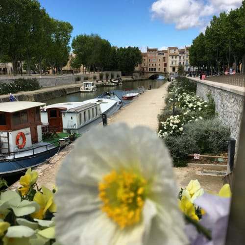 Narbonne et le Canal de la Robine avec le pont des marchands. Ville fleurie connue pour Les Halles de Narbonne. Un des plus beaux marchés de France.