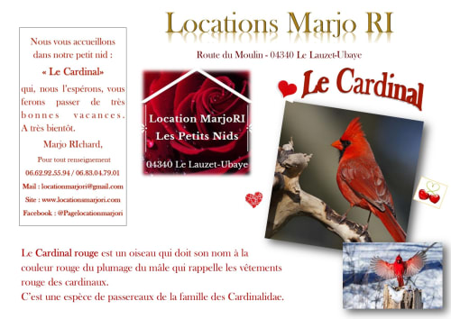 Appartement Le Cardinal à Location MarjoRI au Lauzet-Ubaye avec imagerie d'oiseau cardinal rouge