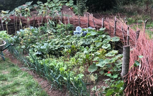 potager et jardin - Cottage Les Forières à saint-honoré en normandie - Maison d'hôtes normande