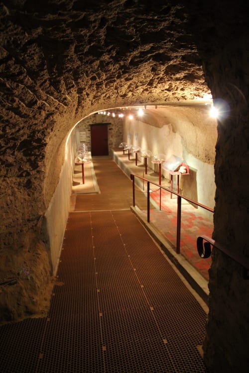 cave with shells - fleury the river - marl - champagne - geological excursion - 